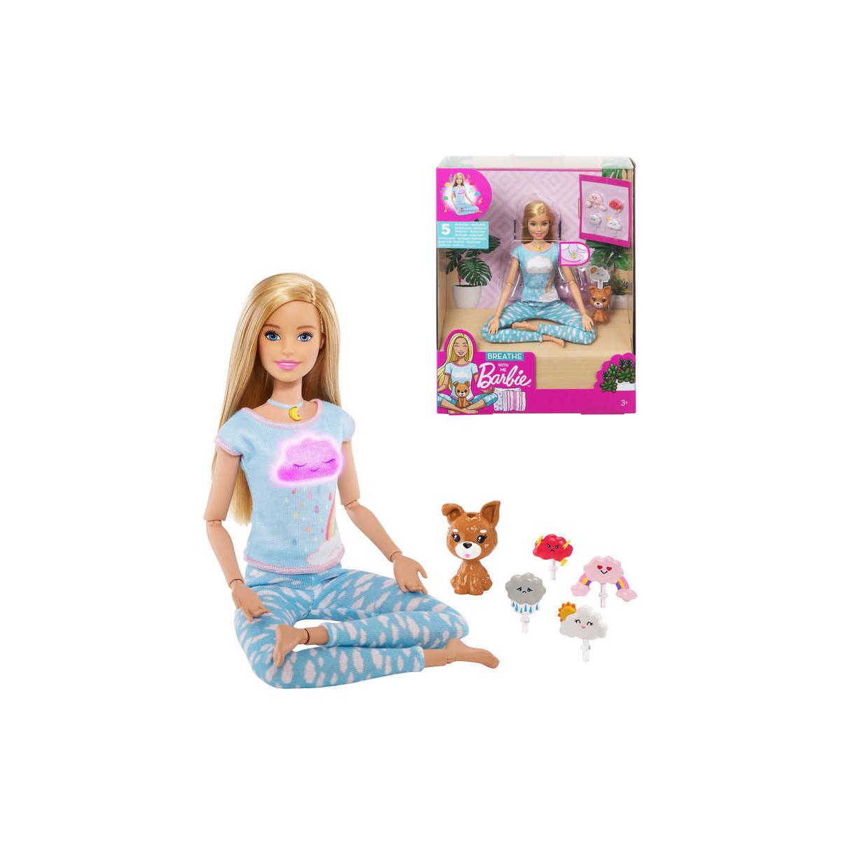 MATTEL BRB Barbie wellness a meditace set panenka s pejskem a doplňky